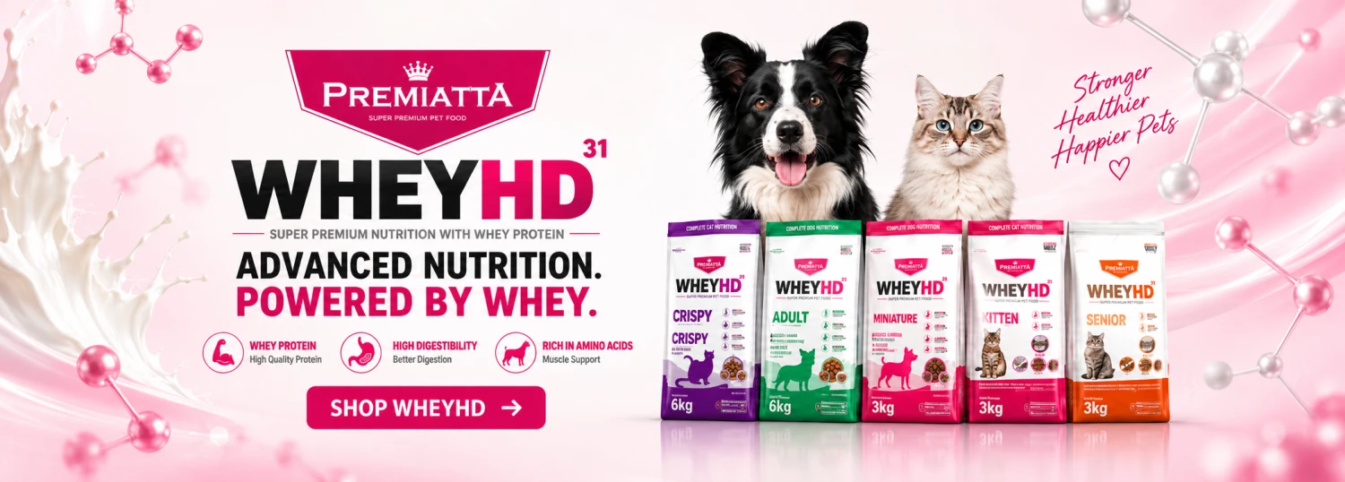 Pet Dyzer promo